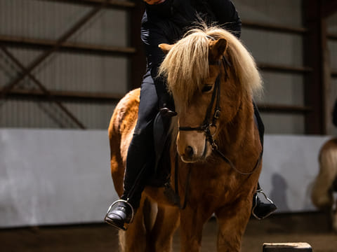 2,5h Trail Ride for Intermediate Riders, photo 2