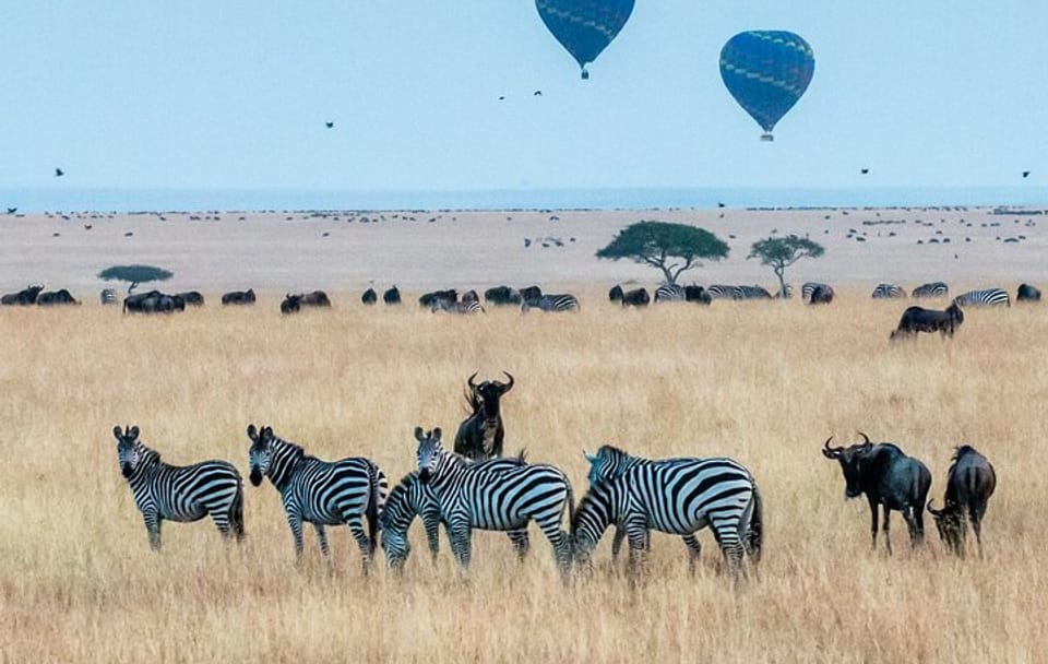 Luxury 5 Days – Manyara, Serengeti, Ngorongoro & Tarangire Safari