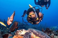 Bodrum Scuba Diving Experince with Lunch and Roundtrip Transfer 4