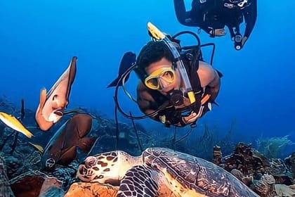 Bodrum Scuba Diving Experince with Lunch and Roundtrip Transfer