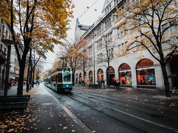 Private Van Tour: 8 Days in Switzerland and Paris