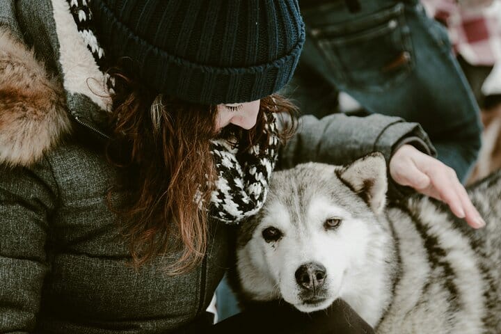 Nuuksion kansallispuistovaellus siperianhuskyn kanssa