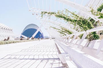 Photography Session at Valencia's City of Arts and Sciences