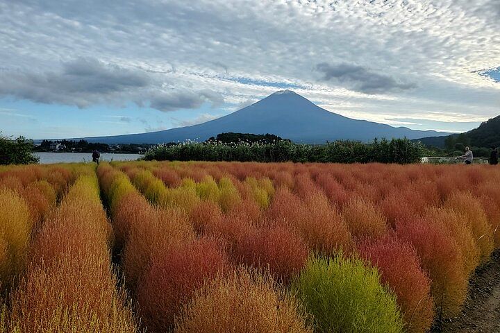 3 Days Private Tour Tokyo, Mt. Fuji and Hakone