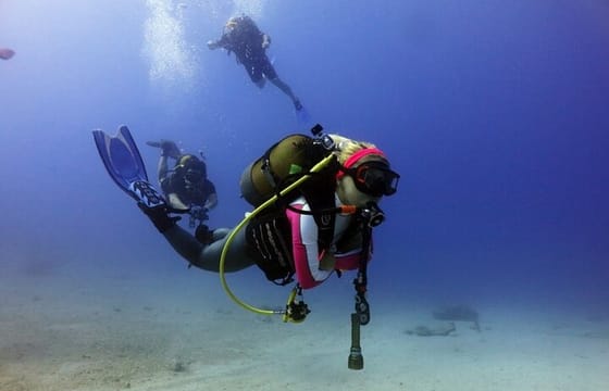 Scuba Diving Experience in Kusadasi with Instructor and Transfer