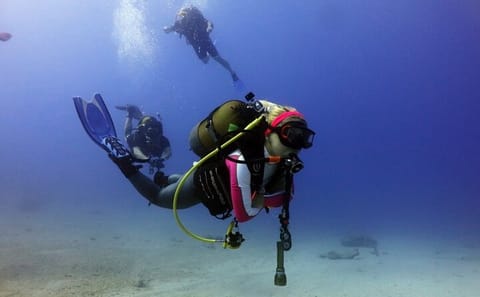 Scuba Diving Adventure in Kuşadası with Professional Guide