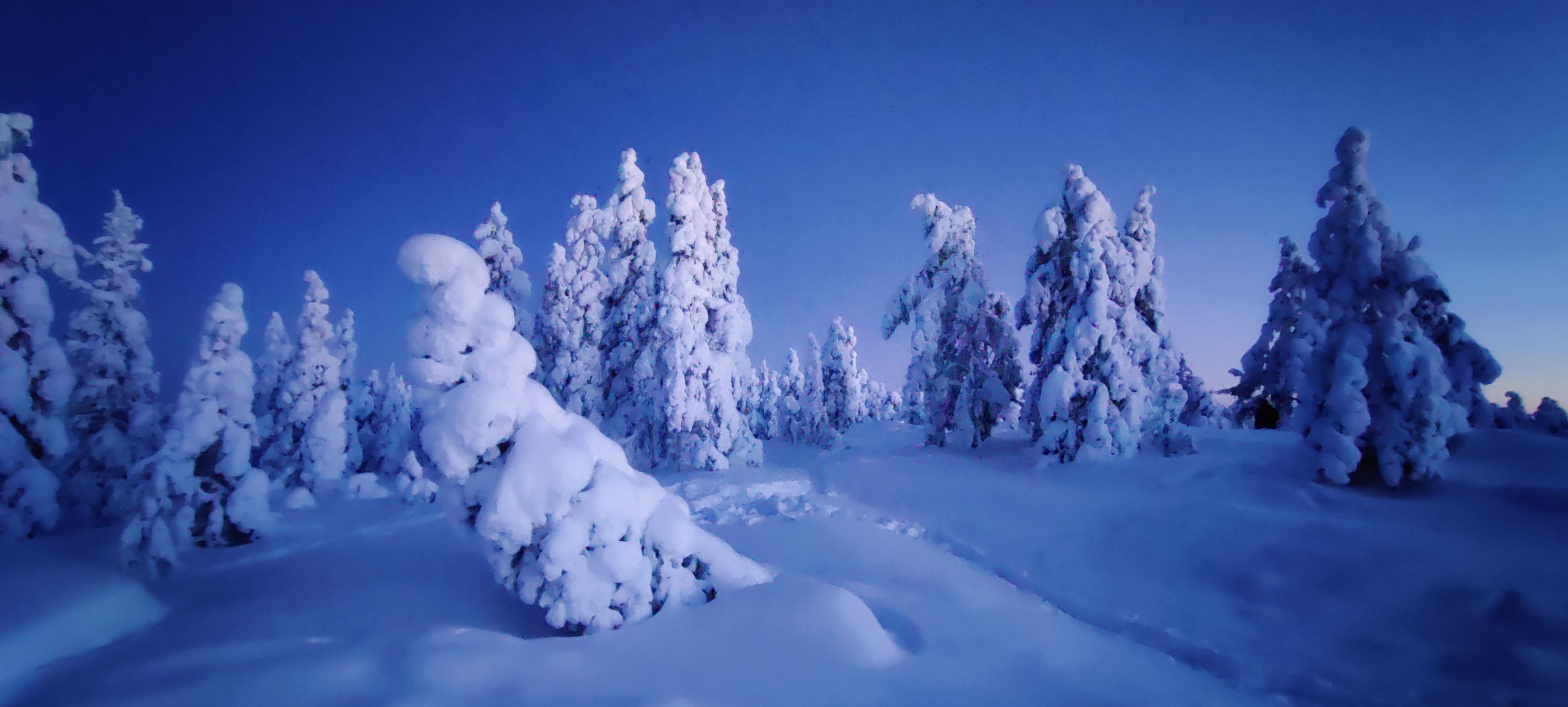 Ounasvaara at winter