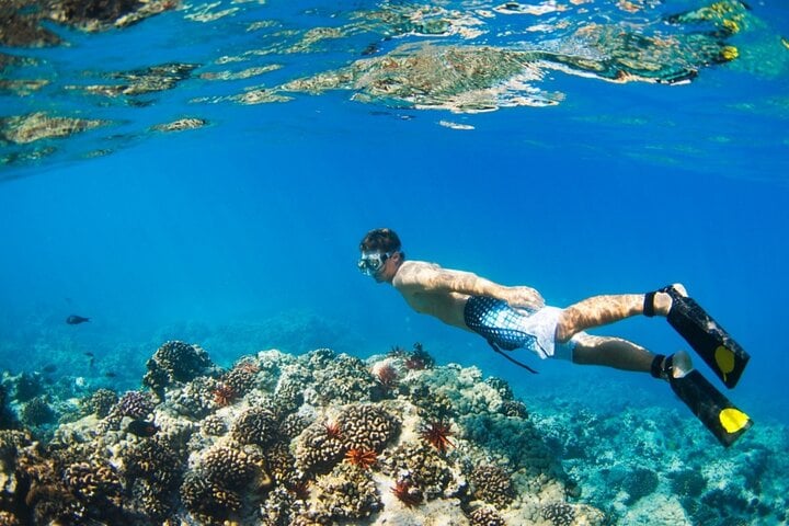 Marsa Mubarak Intro Dive & Snorkeling with Transfer : Marsa Alam