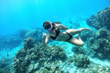 Cozumel Turtle Sanctuary Snorkeling Experience