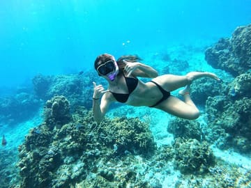 Cozumel Turtle Sanctuary Snorkeling Experience