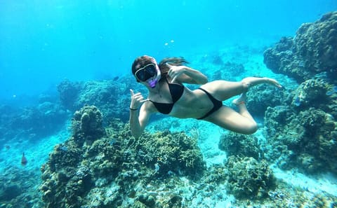 Cozumel Turtle Sanctuary Snorkeling Experience