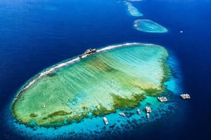 Tiran Island Excursion From Sharm Elsheikh