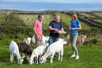 Food tasting and cultural tour Inishmore, Aran Islands. Private guided 1