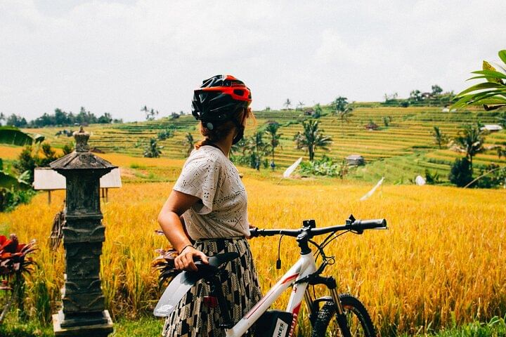Half-Day Ubud Rice Field and Village Cycling Tour