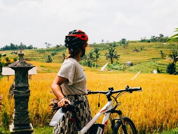 Cycling with rice field view