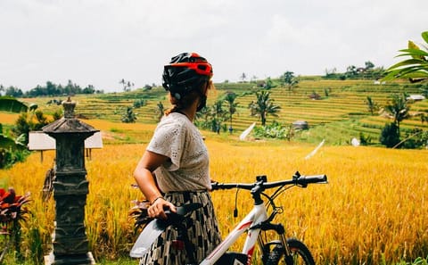 Ubud Rice Field and Village Cycling Tour in Indonesia