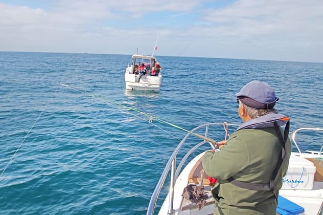 Reef Fishing Experience from Portimao 10