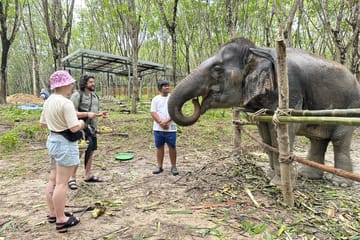 Khao Lak Elephant Sanctuary Full Day Small Group Tour