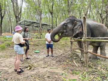 Khao Lak Elephant Sanctuary Full Day Small Group Tour
