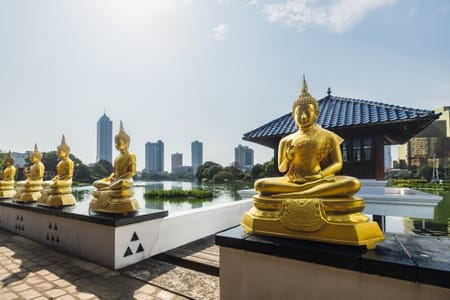 Kandy Day Tour from Colombo: Elephants, Spice Garden & Sacred Temple