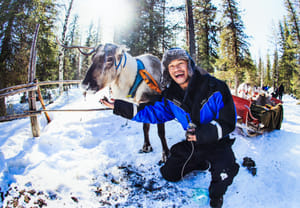 Arctic Combo, Huskies & Reindeer - Rovaniemi