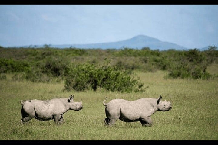 Bangkok Chao Phraya River Sightseeing Boat: A/C Cabin & Scenic Upper Deck + Bonus Day Pass