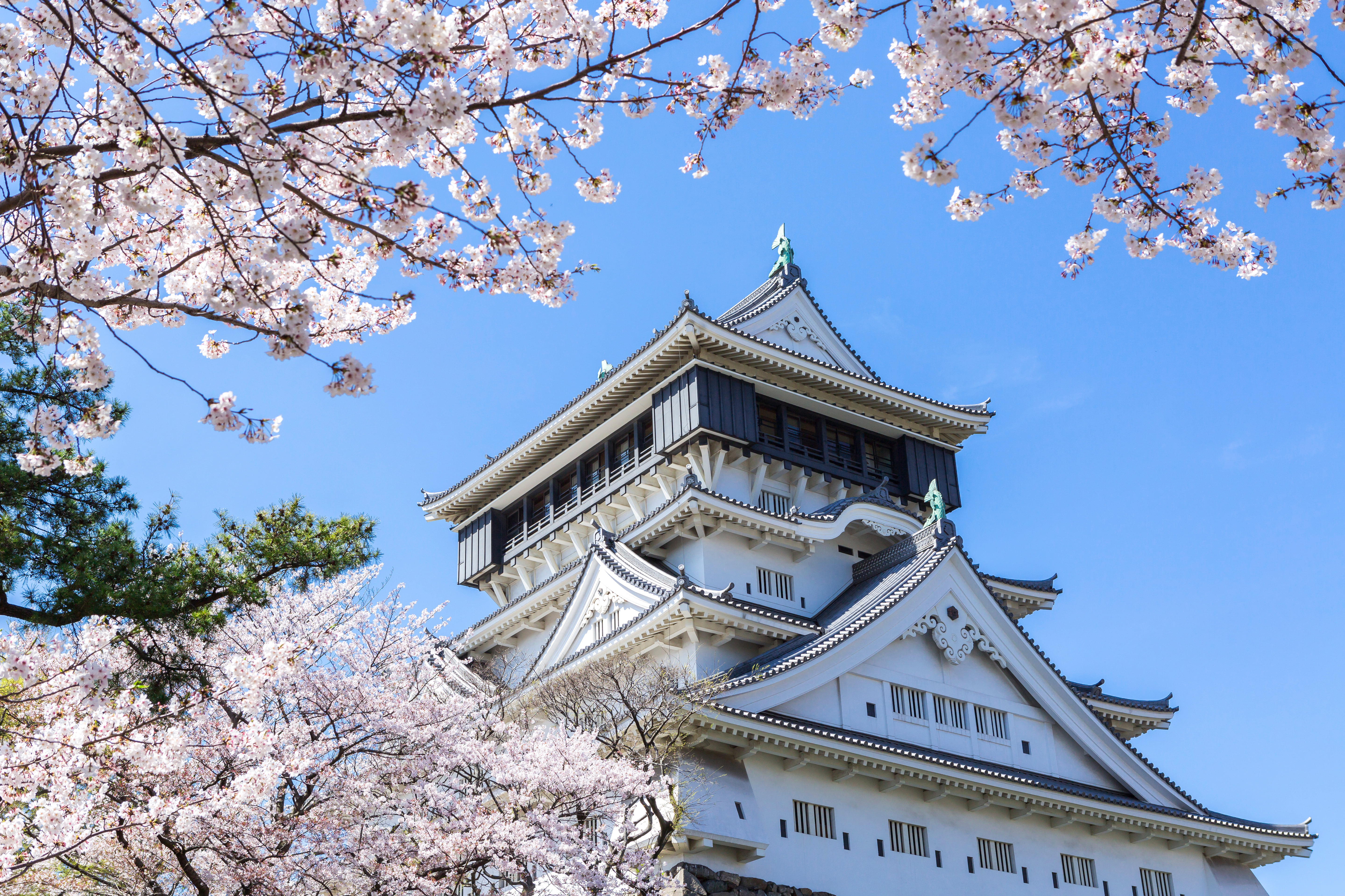 Kitakyushu Private Vehicle Service with Restaurant Reservation