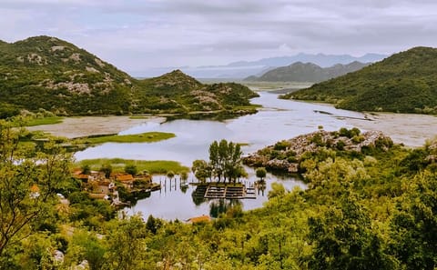 Skadar Lake National Park Boat Tour with Karuč Village Visit
