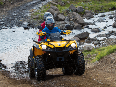 Reykjavík Whales & ATV, photo 4