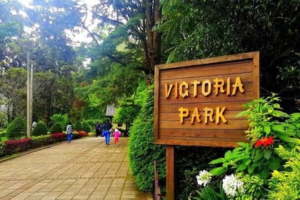 10 Days All Inclusive Tour Exploring Natural Beauty of Sri Lanka