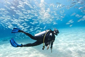 Hurghada: Full-Day Diving Tour with Lunch & Two Dive Sites