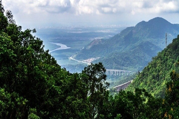 Escape the Concrete: Discover São Paulo's Atlantic Forest