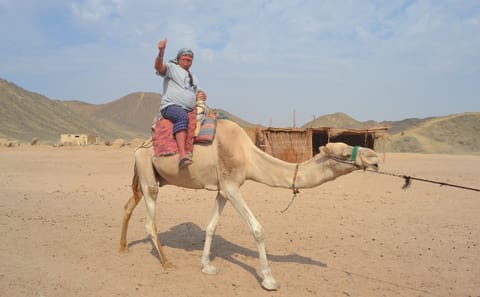 Quad Biking Adventure in Hurghada Desert, Egypt