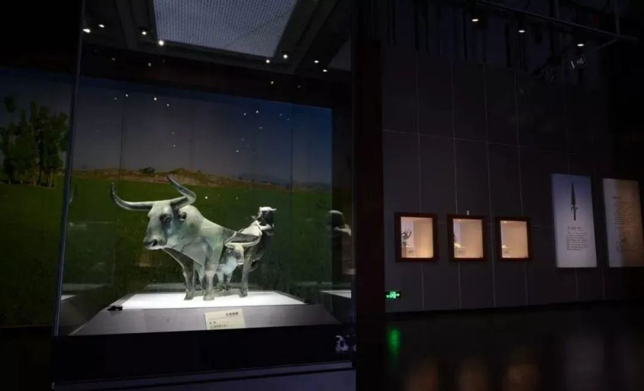 Niu Hu is in the same case（Bronze)