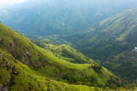 Experience of One Day Nuwara Eliya 2
