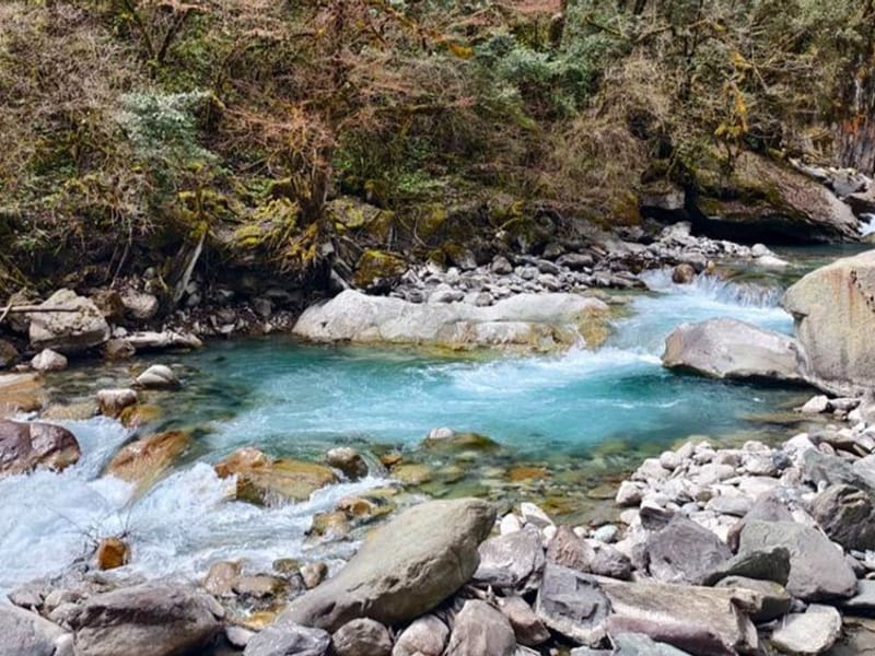 Donglashan Grand Canyon 2-Day Private Forest Hike from Chongqing
