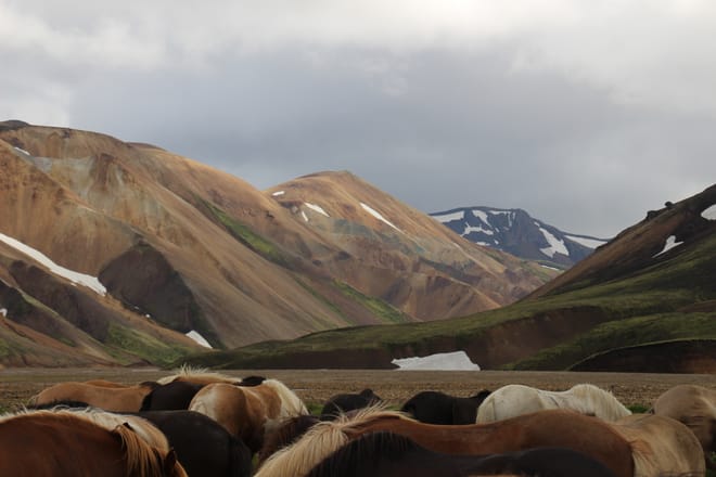 17 - Landmannalaugar photo 4