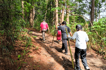Chiang Mai to Doi Inthanon Guided Nature Trail and Elephant Tour