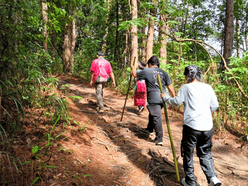 Chiang Mai to Doi Inthanon Guided Nature Trail and Elephant Tour