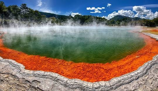 From Rotorua - Double Deal - WAIMANGU Volcanic Valley and WAI-O-TAPU Geothermal Wonderful: Half-Day Tour