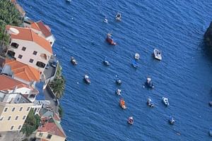 Private Half-Day Morning 4x4 Tour from Funchal
