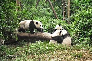 China Highlights, Private Tour