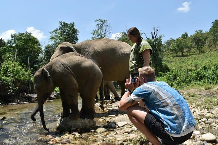 Care Pride Elephants: Full-Day Tour Experience