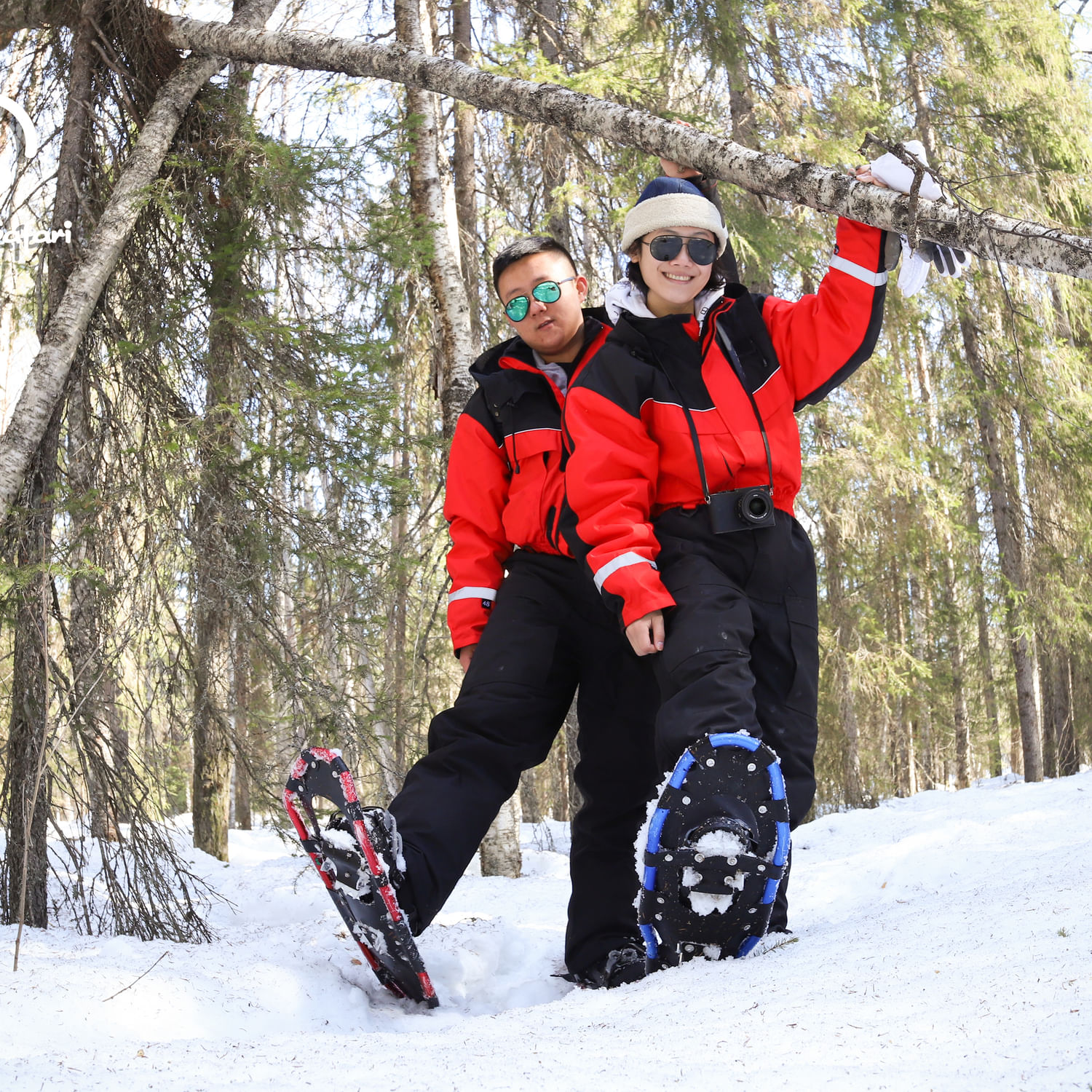 Snowshoeing in Lapland Wilderness