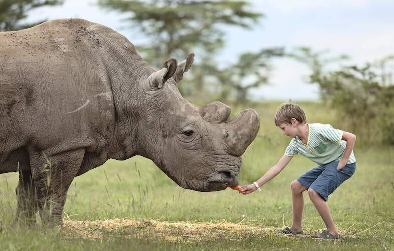 rhino conservation-save the rhino-olpejeta luxury safari