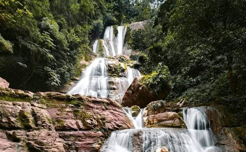 Explore Amazon Biodiversity on a Day Trip from Oxapampa