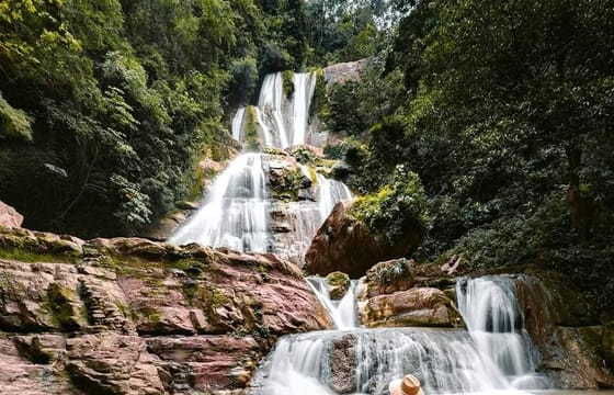 Oxa-04 : Perené Natural Wonders – Immerse in Amazon’s Biodiversity