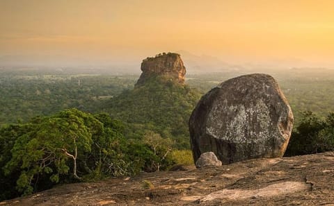 Day Tour to Sigiriya Rock Fortress from Polonnaruwa