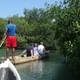 Cartagena mangroves