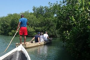 Cartagena canoe mangroves